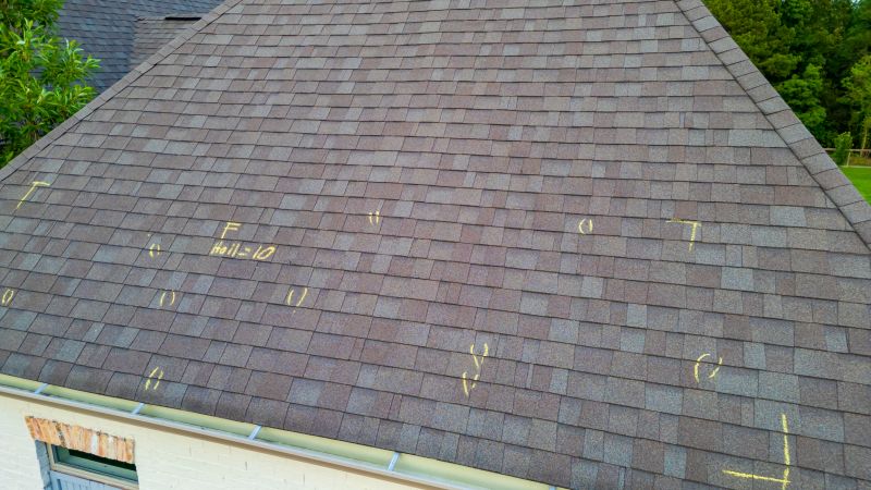 Asphalt Roof Inspection in Fort Collins, CO