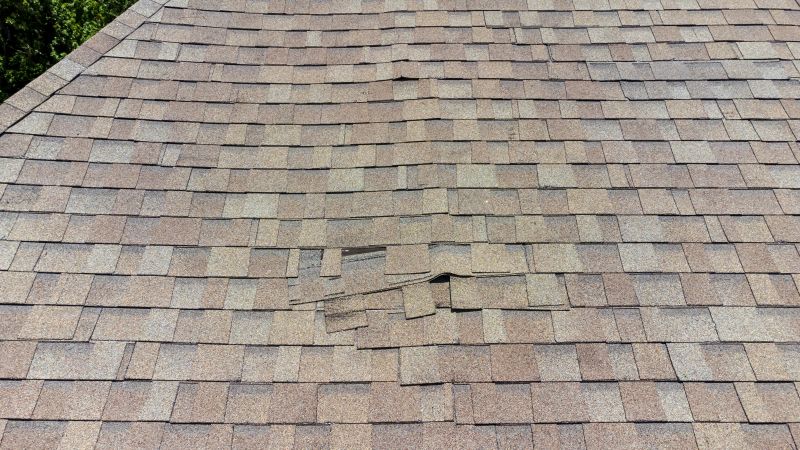 Asphalt Roof Inspection in Nunn, CO
