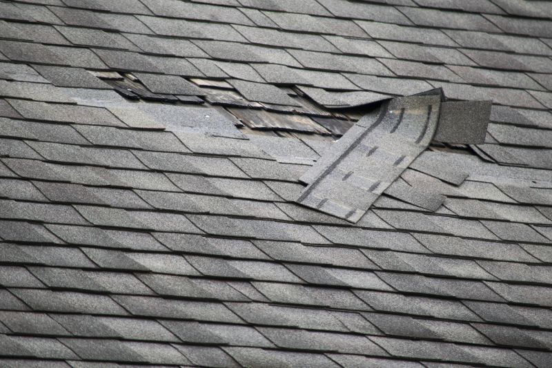 Asphalt Roof Leak Repair in Berthoud, CO