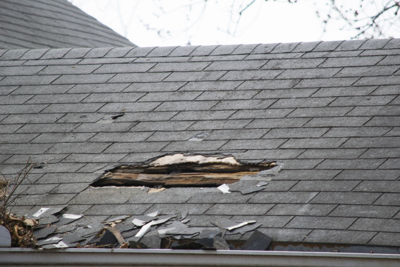Asphalt Roof Leak Repair in Timnath, CO