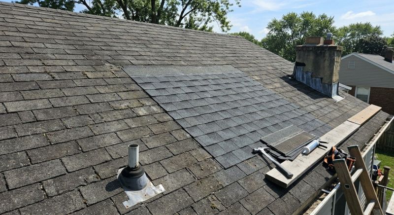 Asphalt Roof Repair in Timnath, CO