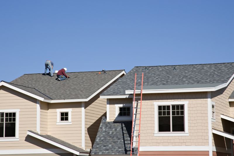 Asphalt Shingles Installation in Fort Collins, CO