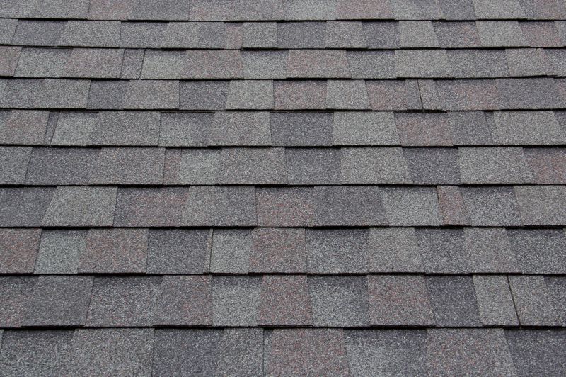 Asphalt Shingles Installation in Loveland, CO