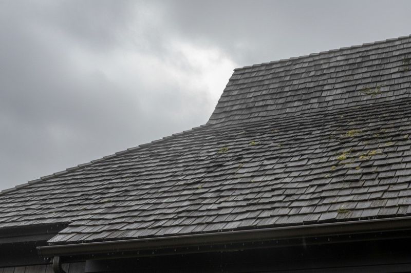 Cedar Shingles Replacement in Evans, CO