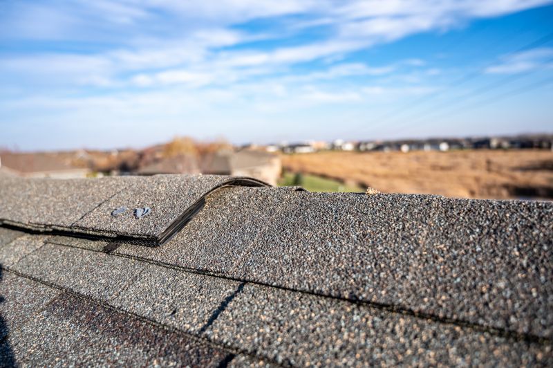 Damaged Roof Repair in Evans, CO