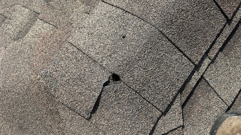 Damaged Roof Repair in Loveland, CO