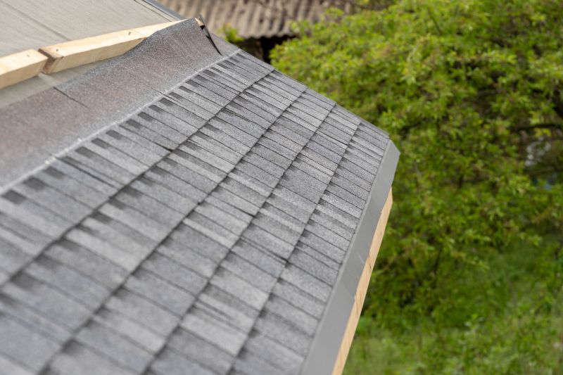 Damaged Roof Repair in Timnath, CO