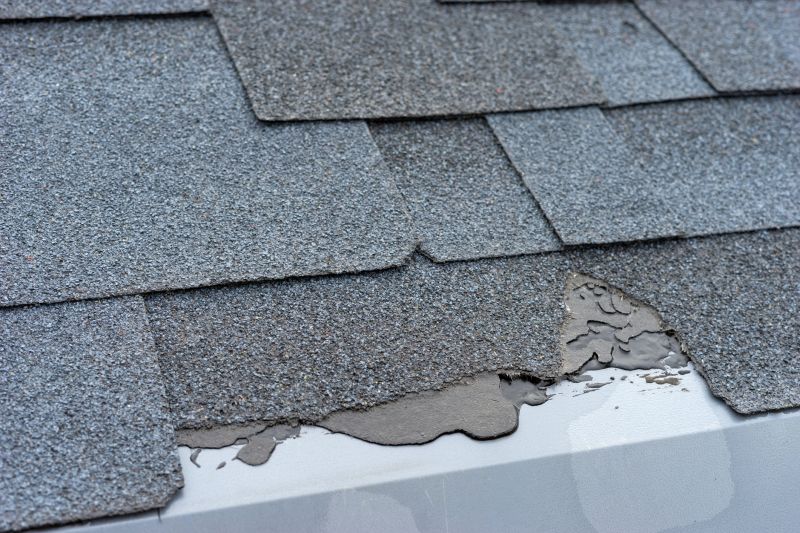 Damaged Roof Repair in Windsor, CO