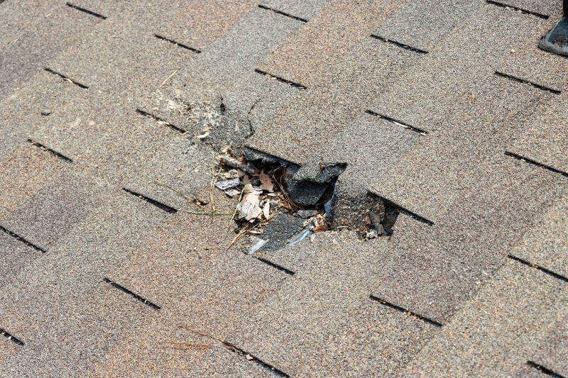 Damaged Roof Replacement in Fort Lupton, CO