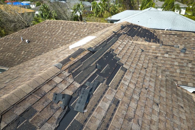 Dormer Roof Repair in Greeley, CO