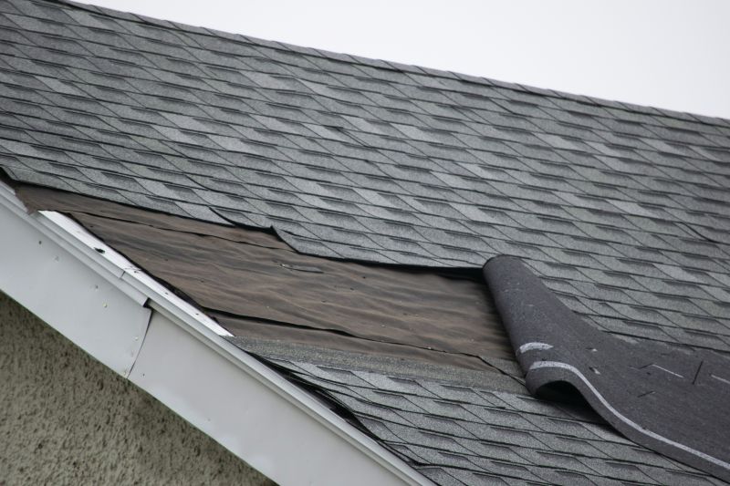 House Roof Repair in Timnath, CO