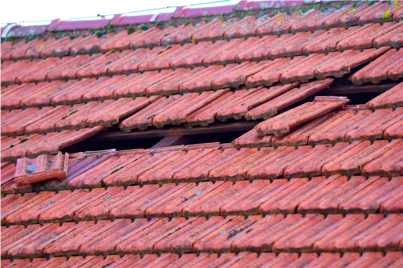 Roof Damage Inspection in Loveland, CO
