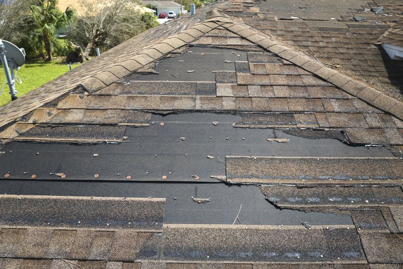 Roof Hail Damage Repair in Greeley, CO