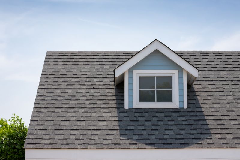 Roof Patching Service in Greeley, CO