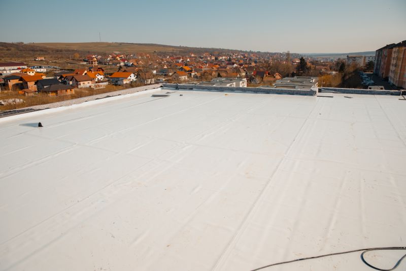 Roof Weatherproofing in Timnath, CO