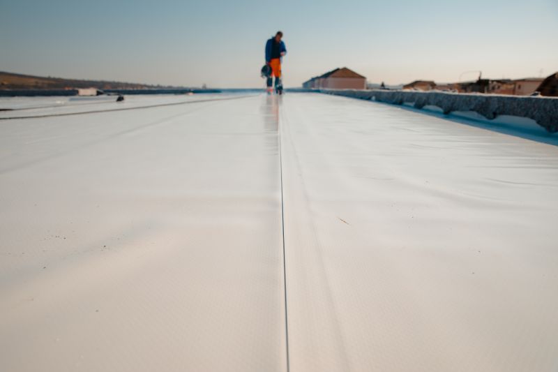 Rubber Roof Repair in Milliken, CO