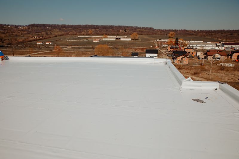 Rubber Roof Repair in Windsor, CO