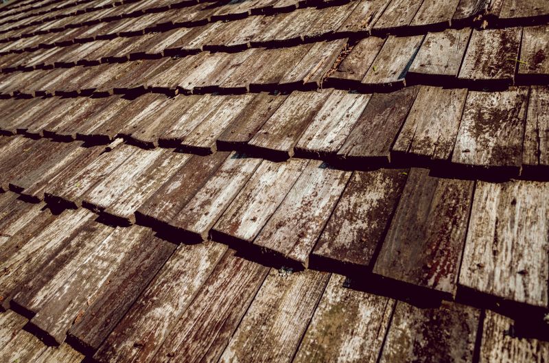 Shake Roof Replacement in Larimer County, CO