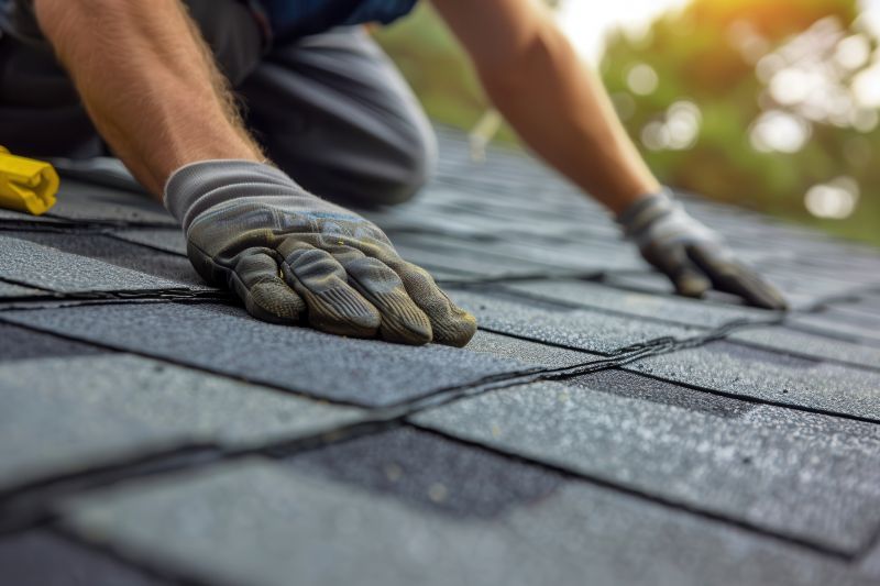 Shingles Repair in Evans, CO