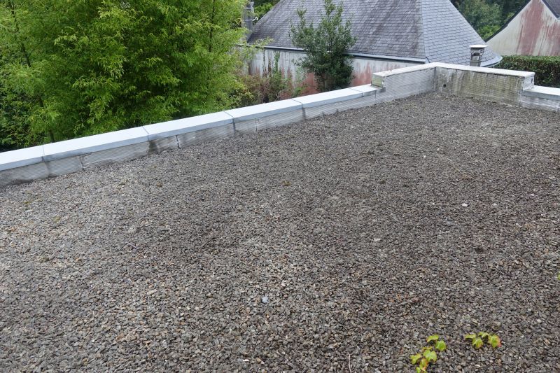 Tar And Gravel Roof Repair in Fort Lupton, CO