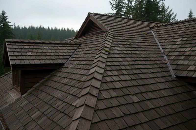 Wood Shake Roof Replacement in Greeley, CO